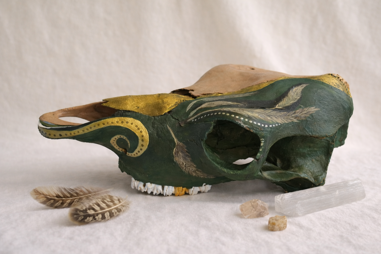 Unearthed Beauty | Sacred Bones Collection
