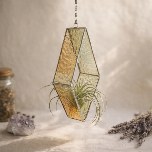 Geometric Air Plant Hanging Terrarium